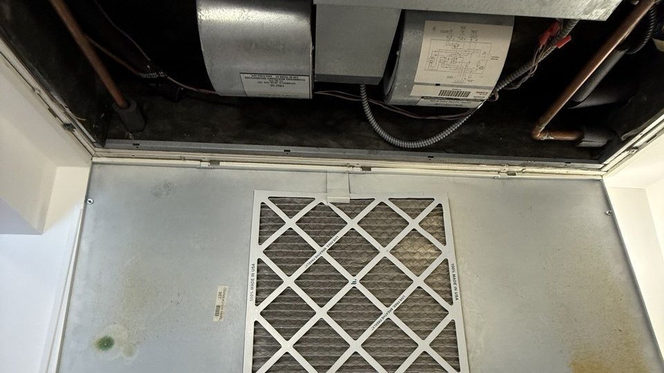How Often Should You Change Your HVAC Air Filter? Bay Area Guide